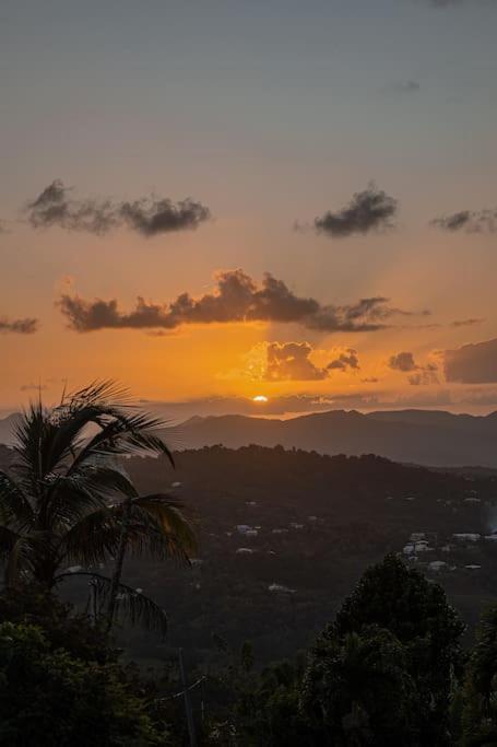 Vt Cottage Riviere-Pilote Luaran gambar